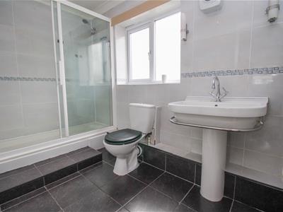 Picture 14